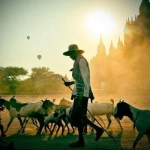 宿迁鼎南商务咨询有限公司